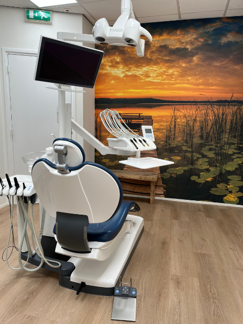Moderne tandartspraktijk met natuurwand